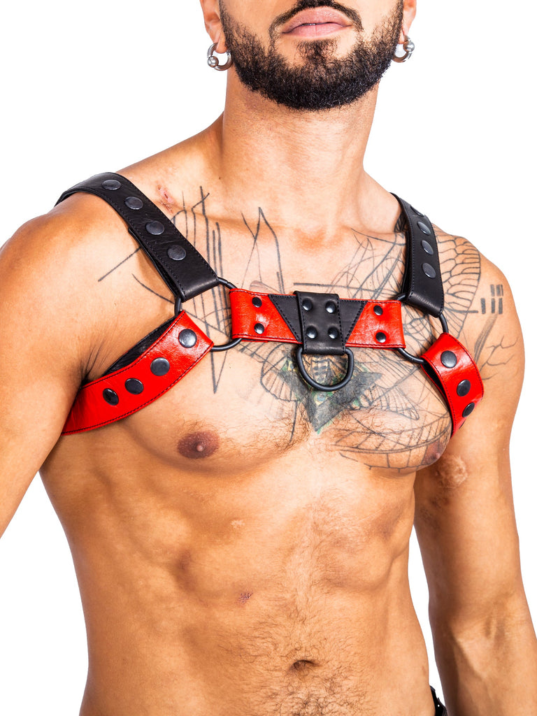 Influence Men's Harness in Black & Red