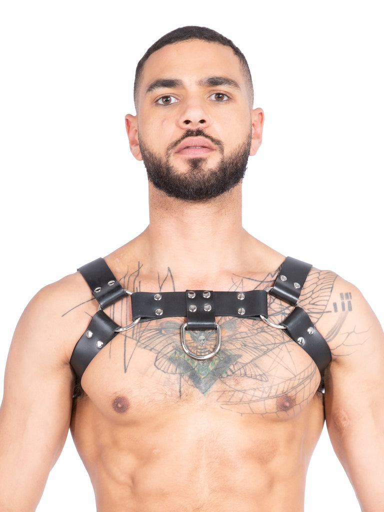 Mens Leather D-Ring Chest Harness