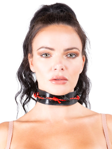 Faux Barb Choker