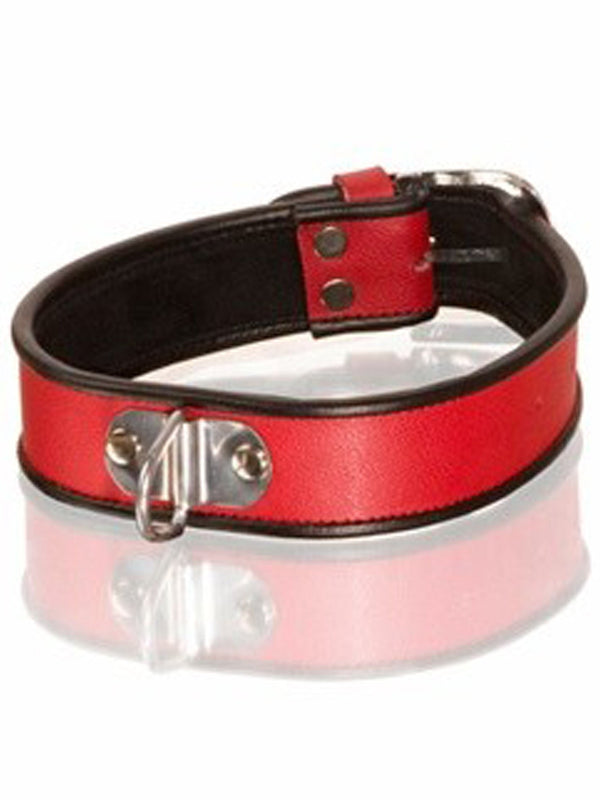Red Leather Choker With Black Trim