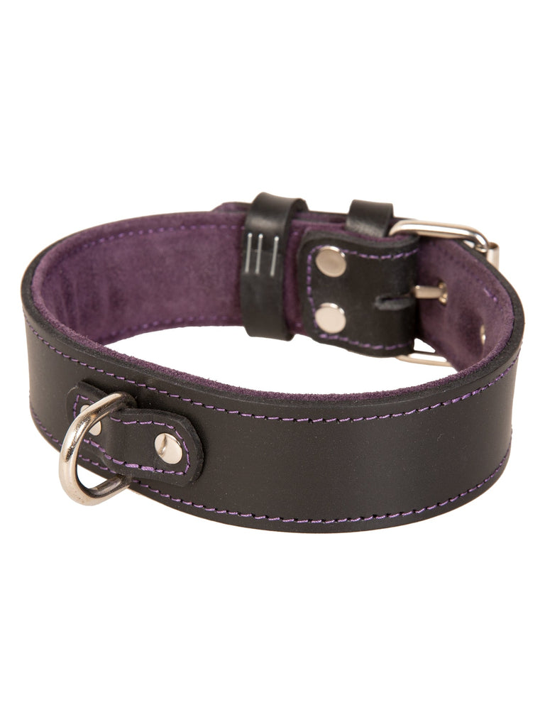 Leather Suede Lined Choker in Black & Purple