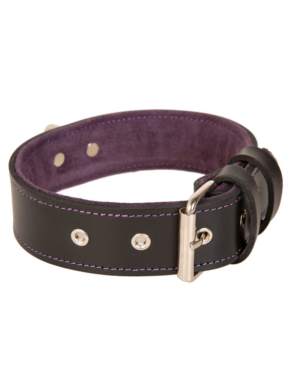 Leather Suede Lined Choker in Black & Purple