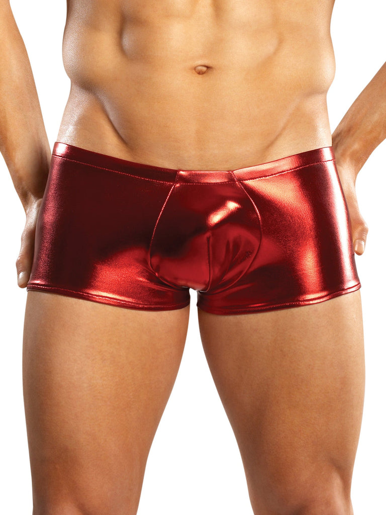 Silver Mens Lingerie Shorts - Honour Clothing
