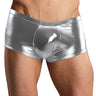 Silver Mens Lingerie Shorts - Honour Clothing