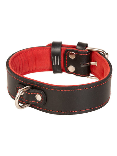 Leather Suede Lined Choker in Black & Red