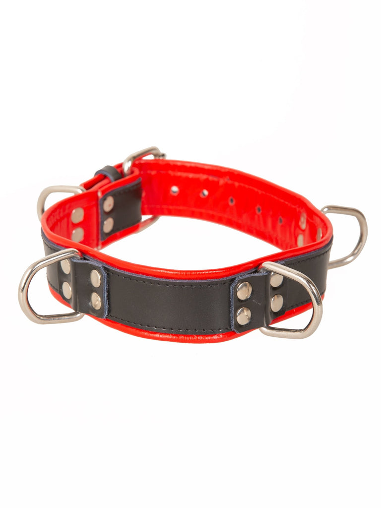 Black & Red Leather Choker With 4 D Rings