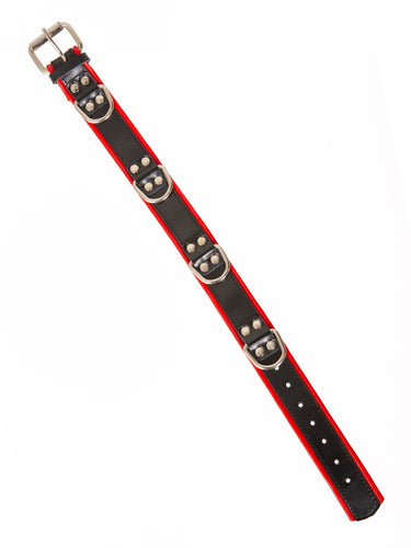 Black & Red Leather Choker With 4 D Rings