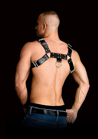 Men's Chest Harness With O Ring - Costas